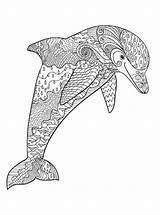 Erwachsene Volwassenen Delfin Kleurplaat Voor Kleurplaten Delfino Schwer Malvorlagen Fur Dolphin Zentangle Stampare Ausmalbild Malvorlage Disegno Dort Colouring Difficili Animaatjes sketch template