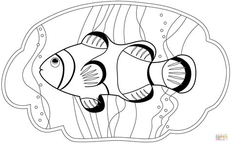 clownfish coloring page  printable coloring pages