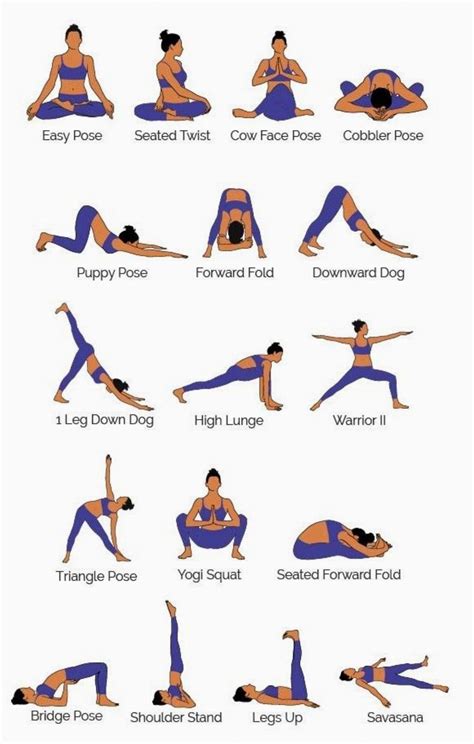 top types  yoga poses yoga poses  beginners yoga poses