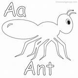 Coloring Coloringfolder Preschoolers Ants sketch template