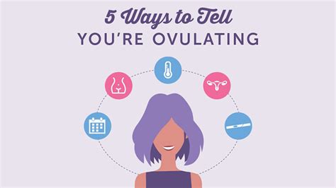 signs and symptoms of ovulation