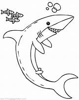 Coloring Shark Megalodon Thresher Pages Getcolorings Getdrawings Printable Color sketch template