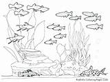 Ocean Coloring Drawing Sea Pages Floor Underwater Life Adults Realistic Print Creatures Getcolorings Getdrawings Paintingvalley Colorings sketch template