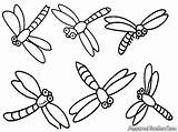 Dragonfly Insect Capung Mewarnai Libelulas Dragonflies Flies Maths Prek sketch template