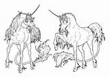 Lineart Coloring Deviantart Unicorns Unicorn Horse Pages Adults Drawing Colouring Sheets sketch template