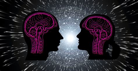 Scientists Found No Difference In Men And Womens Brains After 100