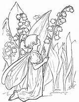 Lily Valley Coloring Pages sketch template