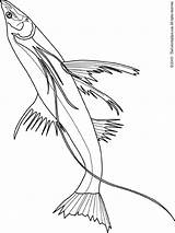 Fish Coloring Pages Kids Fun Printable Picgifs Colouring Print Vissen Preschoolers Animals Animal Printables sketch template