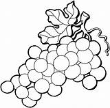 Grapes Drawing Coloring Grape Pages Clipart Fruits Super sketch template