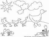 Ducks Coloring Row Pages Printable March Spring Baby Paintbrush Stuck sketch template