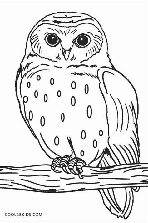 printable snowy owl coloring pages food ideas