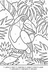 Coloring Pages Color Tropical Number Bird Numbers Kids Adult Coloriage Popular Depuis Enregistrée sketch template