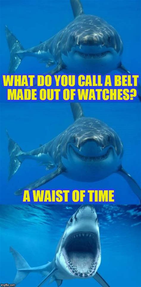 the best shark week memes