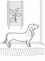 Dachshund Coloring Pages sketch template