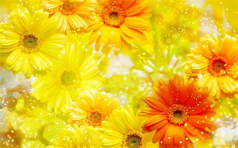 Yellow Flower Hd Wallpapers Wallpaper Cave