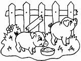 Cochon Coloriage Cochons Animaux Enclos Ferme Schwein Maialini Pigs Maiale Schweine Ausmalbilder Colorier Colorare Ausdrucken Coloriages Disegno Ausmalbild Puiul Meu sketch template
