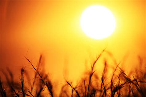 surprising    increase sun sensitivity wellness  news