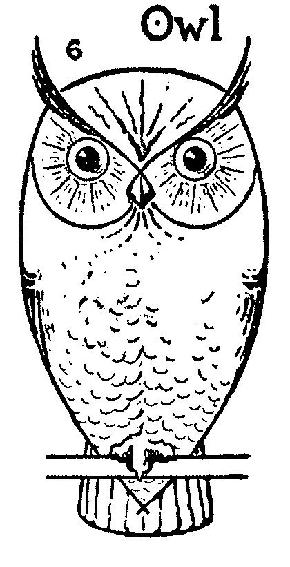 draw  owl step  step simple owl drawing smart kids
