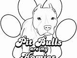 Coloring Pitbull Pages Dog Pit Bull Realistic Printable Getcolorings Color Bulls Pa Getdrawings Print Colorings Colouring sketch template
