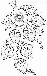 Vine Embroidery Strawberries sketch template