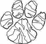 Coloring Forest Tiger Footprint Wecoloringpage Pages sketch template