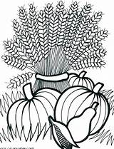 Harvest Coloring Pages Getcolorings Printable sketch template