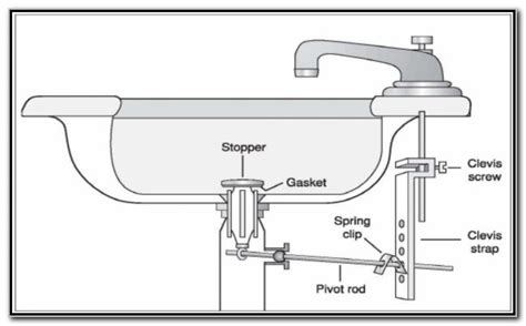 bathroom sink drain assembly diagram derslatnaback