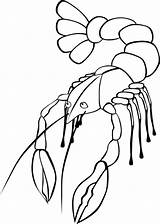 Crawfish Clip Clipart Lobster Coloring Vector Printable Clker Pages Svg Shrimp sketch template