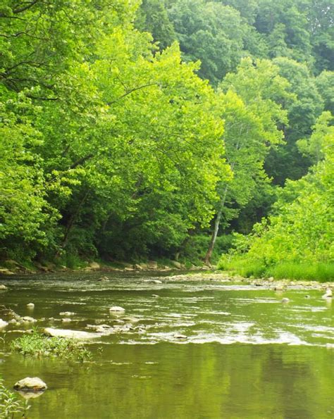 life  ten mile creek  pennsylvania washington  green county green county natural