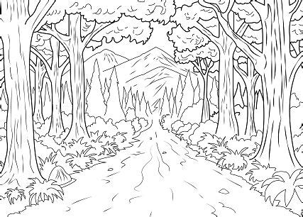 forest landscape coloring page  coloring pages