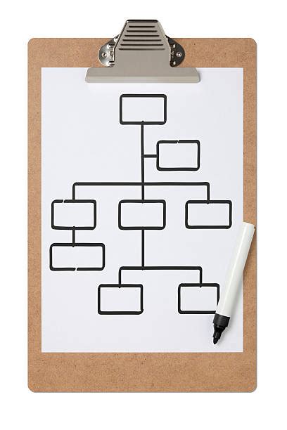 pencil drawing sketching organization chart stock  pictures