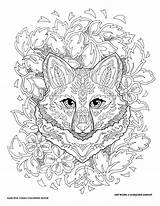Foxes Dover Fanciful Sarnat Marjorie Haven sketch template