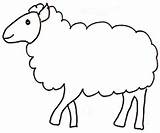 Pecora Stampare Pecore Disegnare Agnello Crescere Bimbi Pasqua sketch template