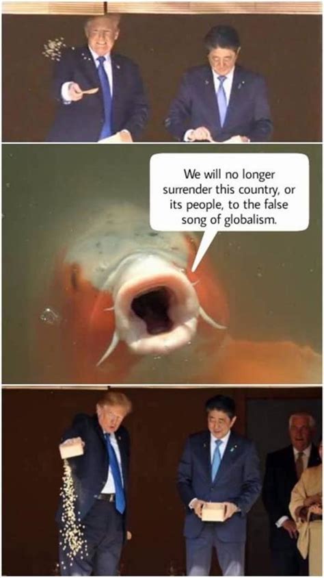 pol  memes donald trump feeding koi fish   meme