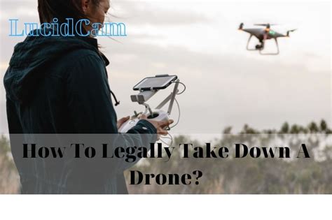 legally    drone  top full guide lucidcam