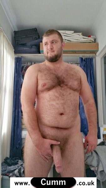 93 big stocky daddy bear the art of hapenis