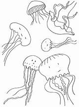 Medusas sketch template