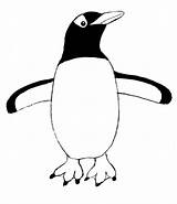 Penguin Drawing Outline Step Emperor Clipart Penguins Printable Pages Getdrawings Pengin Book Samantha Bell Clipartbest Creation Create Two sketch template