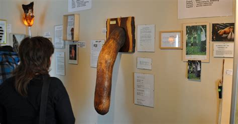 inside the world s largest penis museum man built because