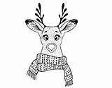 Stag Scarf Coloring Coloringcrew Seasons Year Umbrella Girl sketch template