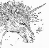 Coloring Horse Unicorn Pages Fantasy Animal sketch template