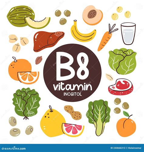 vitamina b8 ingredientes alimentarios inositol ilustración del vector