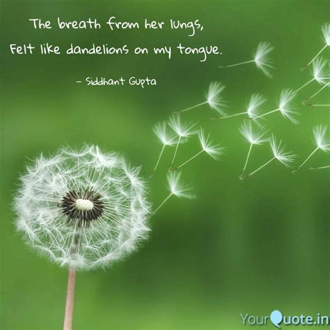 poems quotes  dandelions google search    images