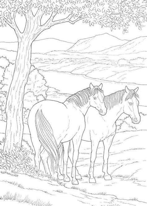 friendly educational horse coloring pages horse coloring pages horse