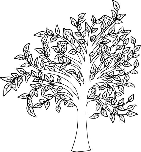 awesome beautiful fall tree coloring page tree coloring page fall