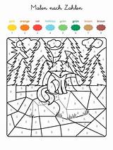 Wald Zahlen Malen Fuchs Ausmalen Ausmalbild Malvorlage Für Bilder Nummern Ganze Kostenlosen Motiv Zugeordnet Pinnwand Ausgemalt Rätselspiele sketch template