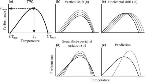 thermal reaction norms of a subtropical and a tropical species of
