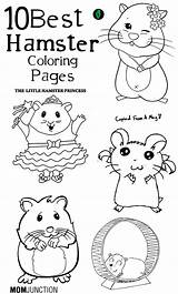 Hamster Coloring Pages Printable Hamsters Cute Color Kids Book Print Pet Baby Toddler Colouring Sheets Adult Hampster Pets Worksheets Girl sketch template