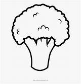 Broccoli sketch template