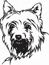 Yorkie Scottie Yorkshire Silky Poo Clipartbest Pets sketch template